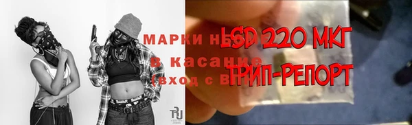 прущие грибы Армянск