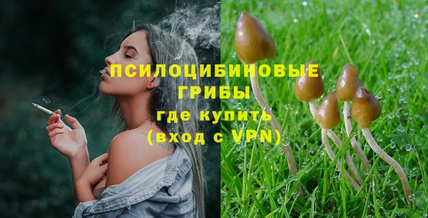 apvp Балабаново
