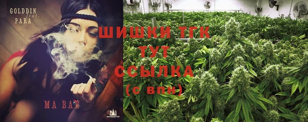шишки Баксан