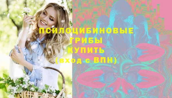 шишки Баксан