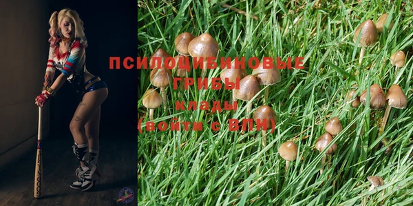 apvp Балабаново