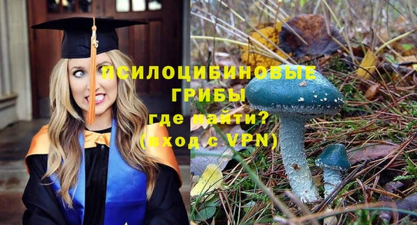 шишки Баксан