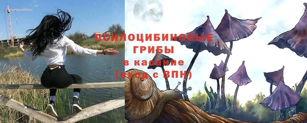 apvp Балабаново